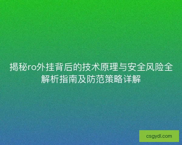 揭秘ro外挂背后的技术原理与安全风险全解析指南及防范策略详解