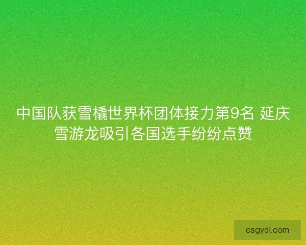 中国队获雪橇世界杯团体接力第9名 延庆雪游龙吸引各国选手纷纷点赞